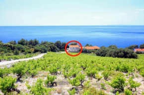 Family friendly seaside apartments Dingac - Borak, Peljesac - 18060